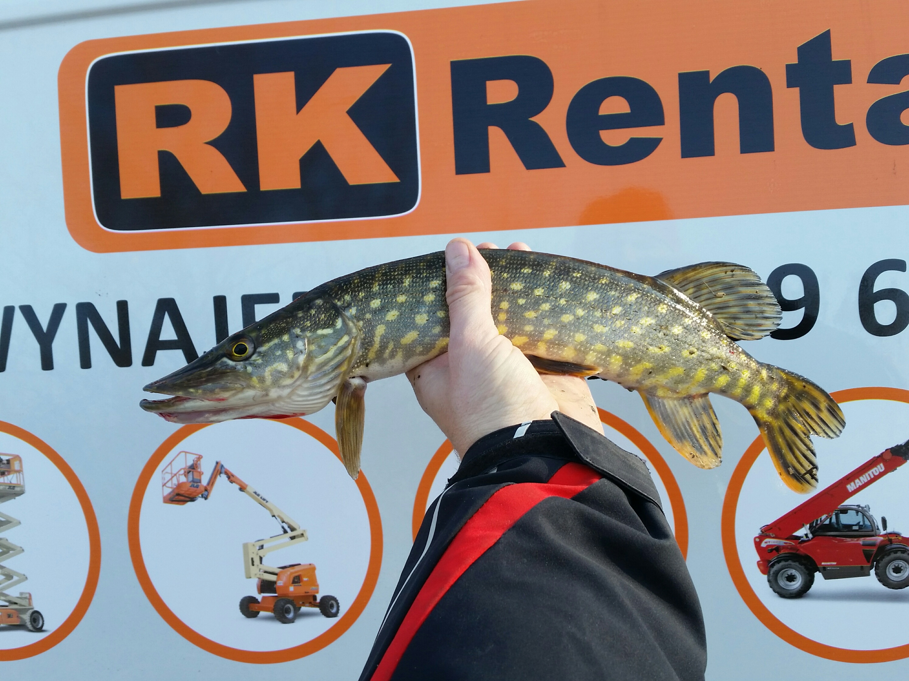 Pike Fish
